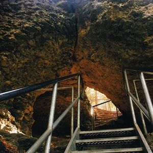 Meet your Posher, Rosaline